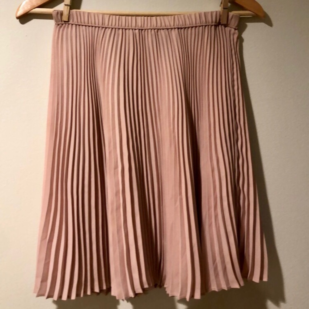 Blush Pink Pleated Skirt